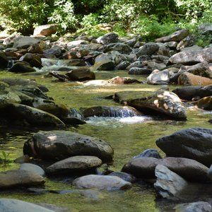 Meet your Posher, Edna